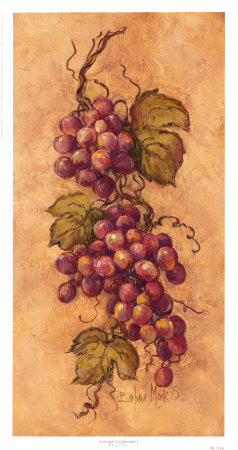 Vintage Grapevine I by Barbara Mock Pricing Limited Edition Print image