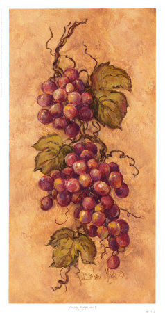 Vintage Grapevine I by Barbara Mock Pricing Limited Edition Print image