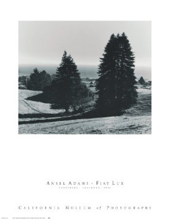 Pinetrees, Seashore by Ansel Adams Pricing Limited Edition Print image