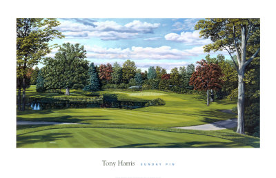 Sunday Pin by Tony Harris Pricing Limited Edition Print image