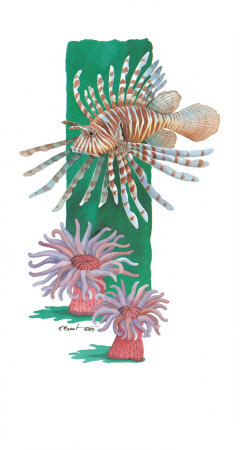 Lionfish Anemones by Paul Brent Pricing Limited Edition Print image
