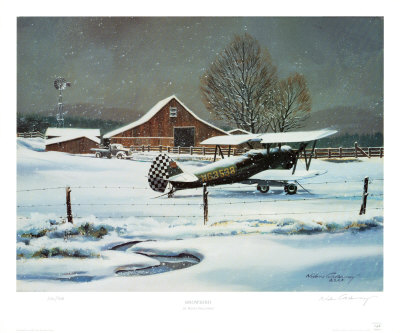 Snow Bird by Nixon Galloway Pricing Limited Edition Print image