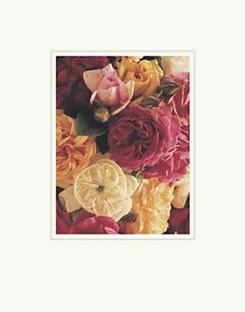 Roses For Sophie Iii by Thea Schrack Pricing Limited Edition Print image