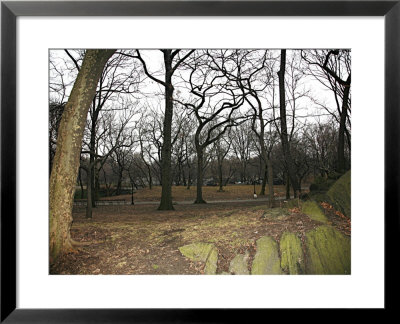 Rocks Of Nyc by Miguel Paredes Pricing Limited Edition Print image