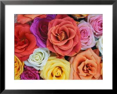 Pattern In Basket Of Roses, Louisville, Kentucky, Usa by Adam Jones Pricing Limited Edition Print image