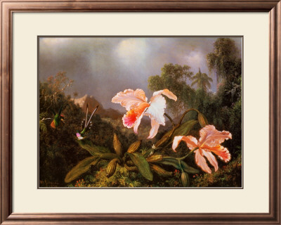 Jungle Orchids And Hummingbirds by Martin Johnson Heade Pricing Limited Edition Print image