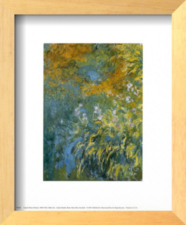 Yellow Iris by Claude Monet Pricing Limited Edition Print image