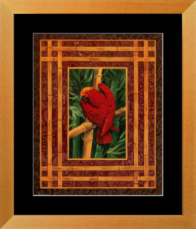 Crimson Parrot by Paul Brent Pricing Limited Edition Print image