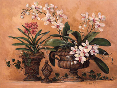 Orchid Renaissance by Barbara Mock Pricing Limited Edition Print image