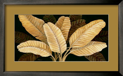 Calypso Leaves I by Paul Brent Pricing Limited Edition Print image
