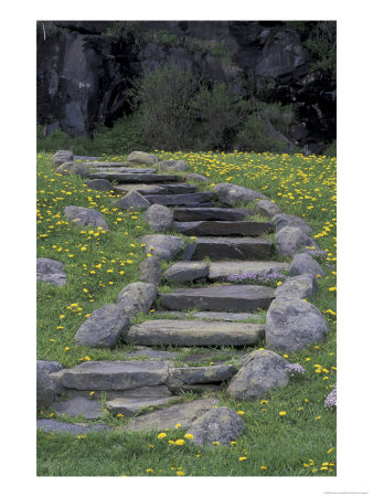 Stone Stairway And Dandelions, Great Smoky Mountains National Park, Tennessee, Usa by Adam Jones Pricing Limited Edition Print image