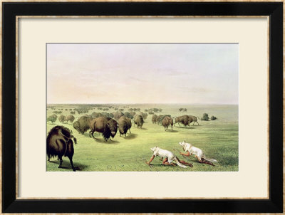 Hunting Buffalo Camouflaged With Wolf Skins, Circa 1832 by George Catlin Pricing Limited Edition Print image