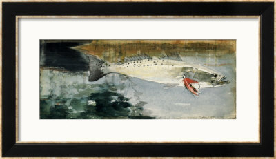 Mrs Rh Watts' Trout by Winslow Homer Pricing Limited Edition Print image