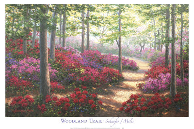 Woodland Trail by Mary Schaefer Pricing Limited Edition Print image