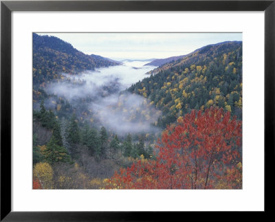 Foggy Valley From Morton Overlook, Great Smoky Mountains National Park, Tennessee, Usa by Adam Jones Pricing Limited Edition Print image