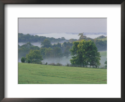 Rolling Hills Of The Bluegrass Region At Sunrise, Kentucky, Usa by Adam Jones Pricing Limited Edition Print image