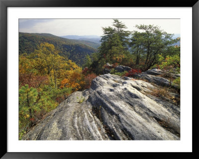 Boulder And Autumn Colors, Pine Mountain State Park, Kentucky, Usa by Adam Jones Pricing Limited Edition Print image