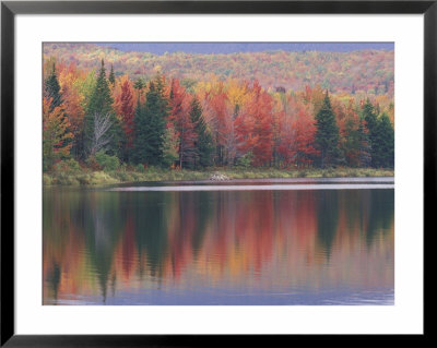 Mirror Reflection Of Autumn Colors In Mcallister Lake, Vermont, Usa by Adam Jones Pricing Limited Edition Print image