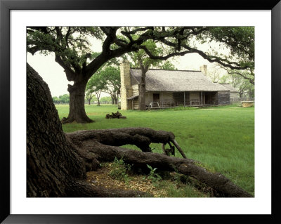 Johnson Homestead, Lbj National Historic Park, Johnson City, Texas, Usa by Adam Jones Pricing Limited Edition Print image