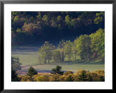 Aerial View Of Forest In Cades Cove, Great Smoky Mountains National Park, Tennessee, Usa by Adam Jones Pricing Limited Edition Print image