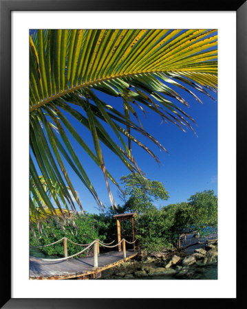 Sonesta Island, Aruba, Caribbean by Robin Hill Pricing Limited Edition Print image