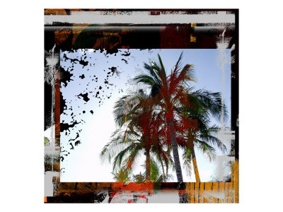 Tropical Palms Xiii by Miguel Paredes Pricing Limited Edition Print image