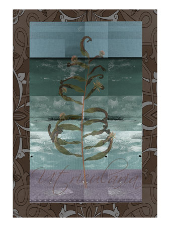 Fall Ix by Miguel Paredes Pricing Limited Edition Print image