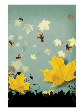 Seasons I by Miguel Paredes Pricing Limited Edition Print image