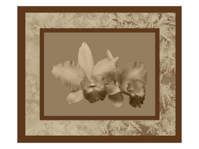 Burgundy Orchid by Miguel Paredes Pricing Limited Edition Print image