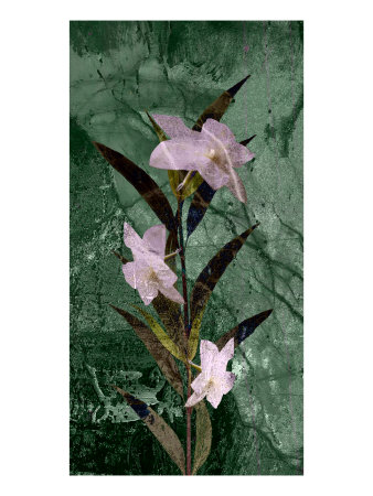 New Flower Ix by Miguel Paredes Pricing Limited Edition Print image