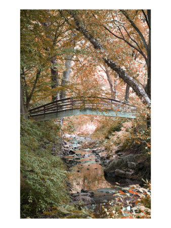 Parkway Ii by Miguel Paredes Pricing Limited Edition Print image