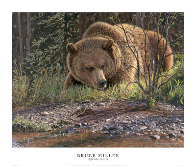 September Grizzly by Bruce Miller Pricing Limited Edition Print image