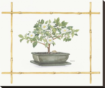 Camellia Bonsai by Bambi Papais Pricing Limited Edition Print image