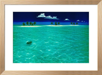 Turtle Crossing by Dan Mackin Pricing Limited Edition Print image