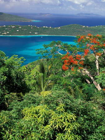 Magens Bay, St. Thomas, Caribbean by Robin Hill Pricing Limited Edition Print image