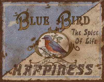 Blue Bird Spices by Sally Ray Cairns Pricing Limited Edition Print image