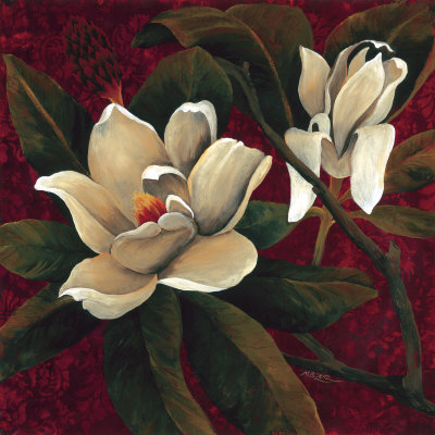 Summer Magnolia Ii by Mary Beth Zeitz Pricing Limited Edition Print image