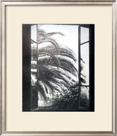 The Palm Tree by Henri Matisse Pricing Limited Edition Print image