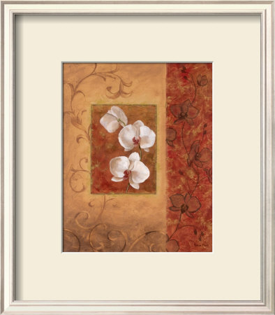Orchid Autumn Ii by Vivian Flasch Pricing Limited Edition Print image