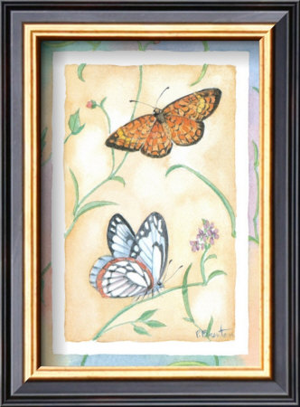 Checkerspot & Pine White by Paul Brent Pricing Limited Edition Print image