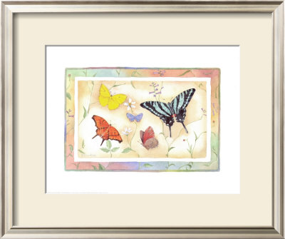 American Butterflies Ii by Paul Brent Pricing Limited Edition Print image