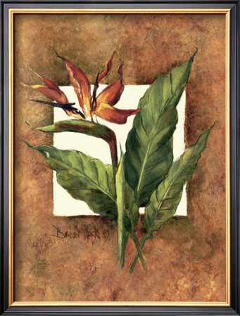 Framed Tropicals Ii by Barbara Mock Pricing Limited Edition Print image