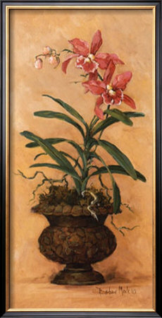 Orchid Revival I by Barbara Mock Pricing Limited Edition Print image