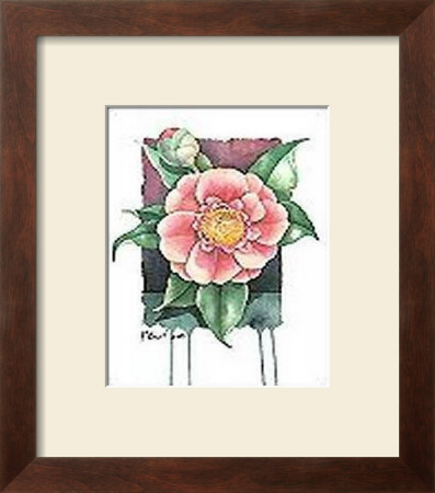 Camellia by Paul Brent Pricing Limited Edition Print image