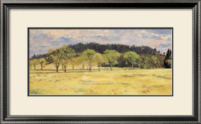 Buck Run Willows by Peter Sculthorpe Pricing Limited Edition Print image