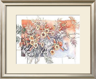Trumpet Vine by Paul Brent Pricing Limited Edition Print image