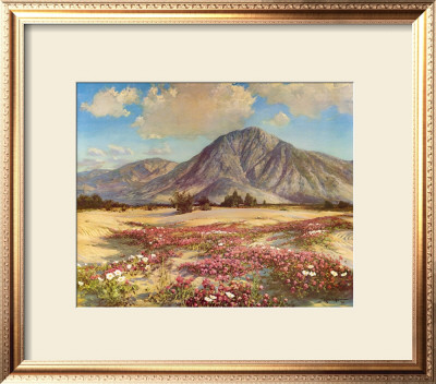Desert In Spring by Robert Wood Pricing Limited Edition Print image
