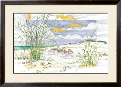 Sandpiper Dunes by Paul Brent Pricing Limited Edition Print image