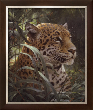 Symbol Of The Rainforest by Robert Bateman Pricing Limited Edition Print image