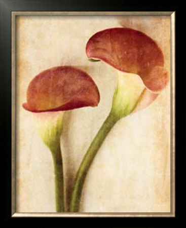 The Calla Lilly by Thea Schrack Pricing Limited Edition Print image